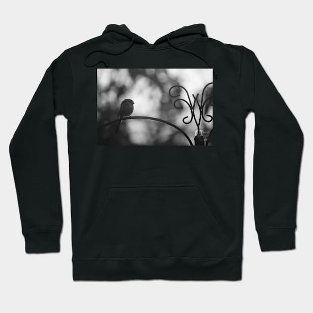 Long tailed tit / Overcast Hoodie by Athene Art